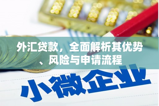 东源外汇贷款，全面解析其优势、风险与申请流程