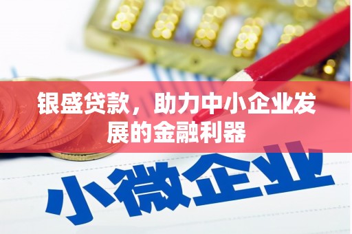 东源银盛贷款，助力中小企业发展的金融利器