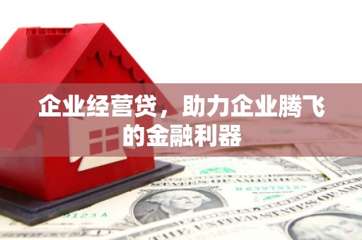 东源企业经营贷，助力企业腾飞的金融利器