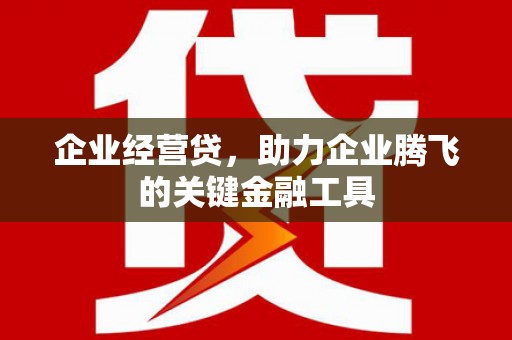 东源企业经营贷，助力企业腾飞的关键金融工具