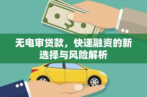 东源无电审贷款，快速融资的新选择与风险解析