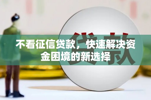 东源不看征信贷款，快速解决资金困境的新选择