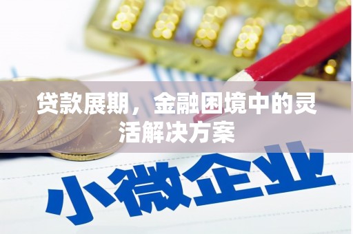 东源贷款展期，金融困境中的灵活解决方案