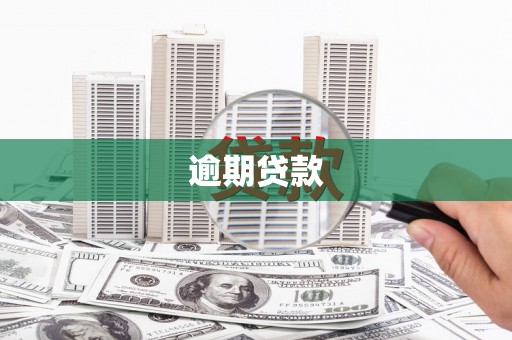 东源逾期贷款