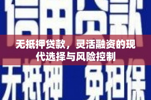 东源无抵押贷款，灵活融资的现代选择与风险控制