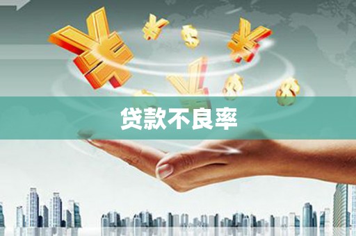 东源贷款不良率