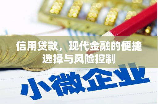 东源信用贷款，现代金融的便捷选择与风险控制