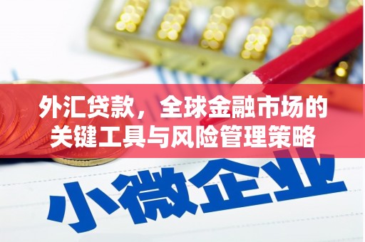 东源外汇贷款，全球金融市场的关键工具与风险管理策略