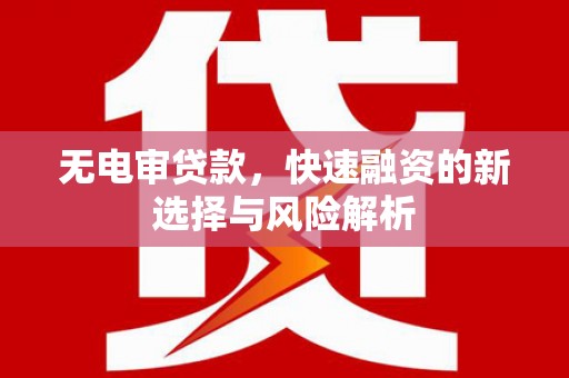 东源无电审贷款，快速融资的新选择与风险解析