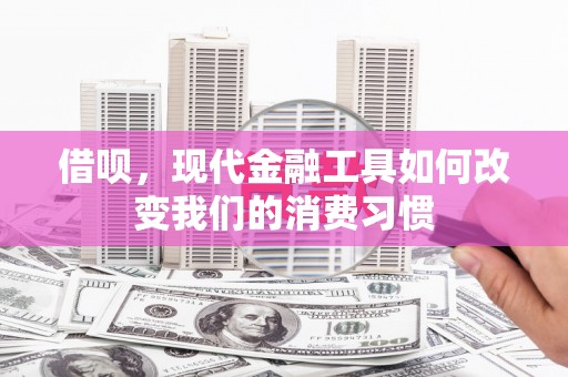 东源借呗，现代金融工具如何改变我们的消费习惯