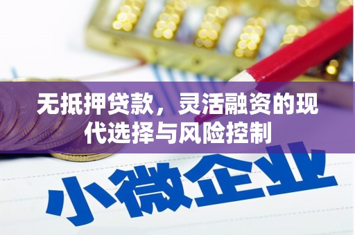 东源无抵押贷款，灵活融资的现代选择与风险控制