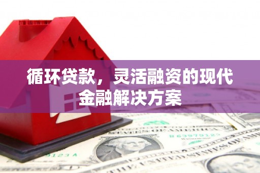东源循环贷款，灵活融资的现代金融解决方案