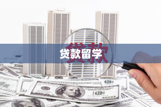 东源贷款留学