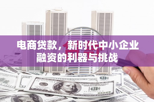 东源电商贷款，新时代中小企业融资的利器与挑战