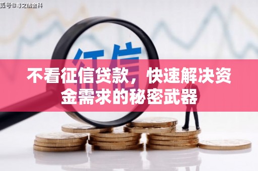 东源不看征信贷款，快速解决资金需求的秘密武器