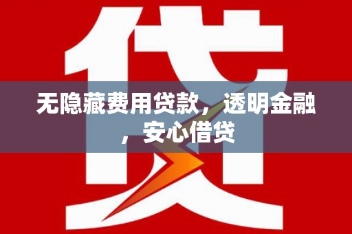 东源无隐藏费用贷款，透明金融，安心借贷