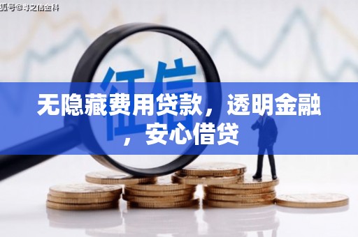 东源无隐藏费用贷款，透明金融，安心借贷