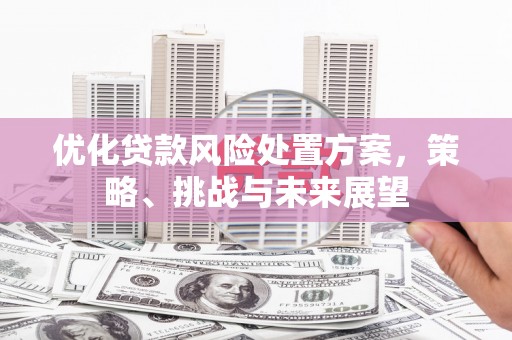 东源优化贷款风险处置方案，策略、挑战与未来展望