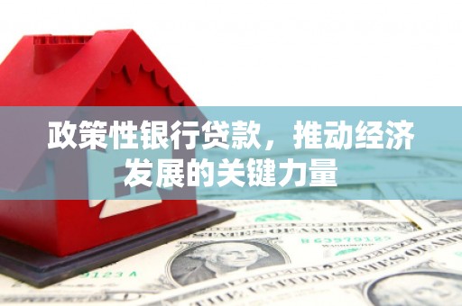 东源政策性银行贷款，推动经济发展的关键力量