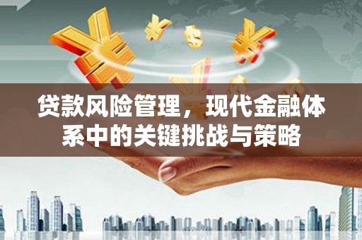 东源贷款风险管理，现代金融体系中的关键挑战与策略
