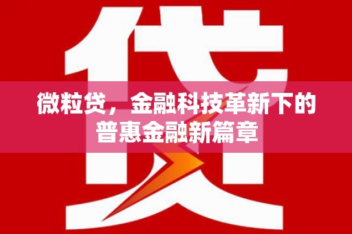 东源微粒贷，金融科技革新下的普惠金融新篇章