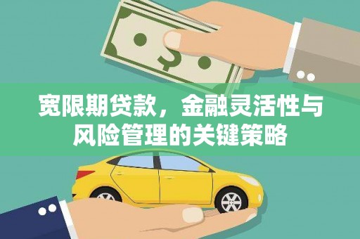 东源宽限期贷款，金融灵活性与风险管理的关键策略