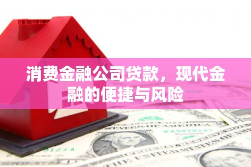 东源消费金融公司贷款，现代金融的便捷与风险