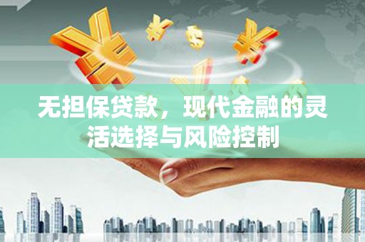 东源无担保贷款，现代金融的灵活选择与风险控制