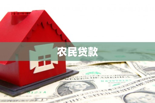 东源农民贷款