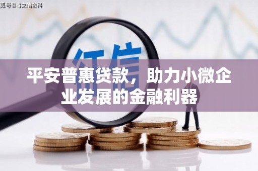 东源平安普惠贷款，助力小微企业发展的金融利器