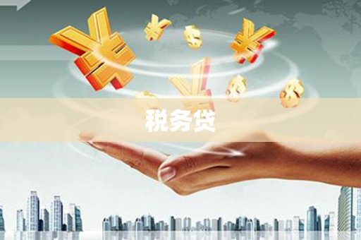 东源税务贷