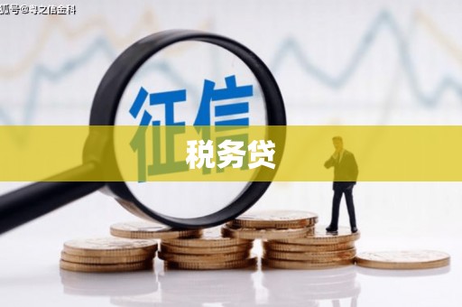 东源税务贷
