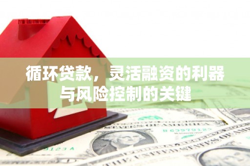 东源循环贷款，灵活融资的利器与风险控制的关键