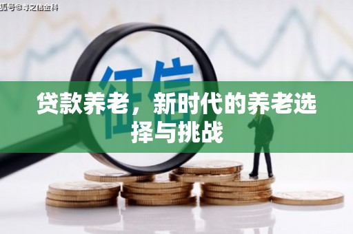 东源贷款养老，新时代的养老选择与挑战
