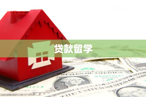 东源贷款留学