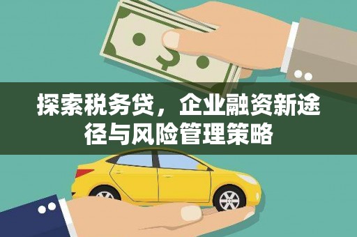 东源探索税务贷，企业融资新途径与风险管理策略