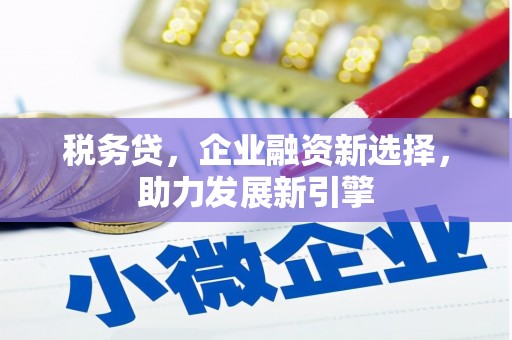 东源税务贷，企业融资新选择，助力发展新引擎