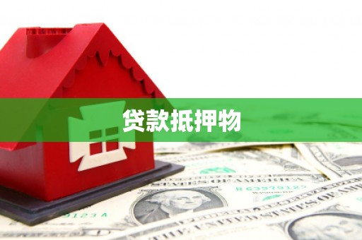 东源贷款抵押物