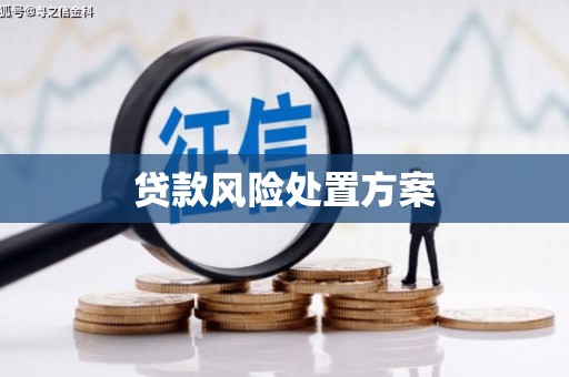 东源贷款风险处置方案