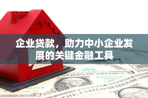 东源企业贷款，助力中小企业发展的关键金融工具