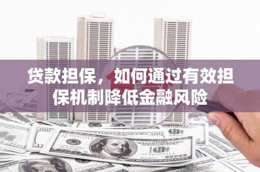 东源贷款担保，如何通过有效担保机制降低金融风险