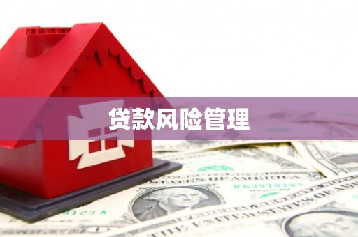 东源贷款风险管理