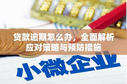 东源贷款逾期怎么办，全面解析应对策略与预防措施