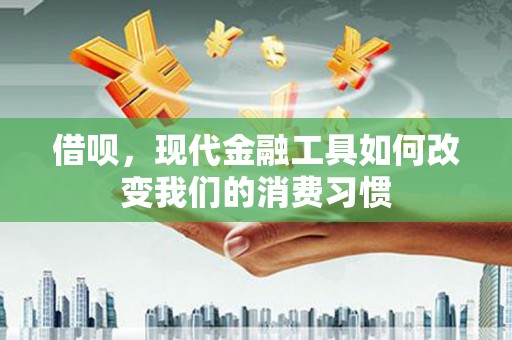 东源借呗，现代金融工具如何改变我们的消费习惯