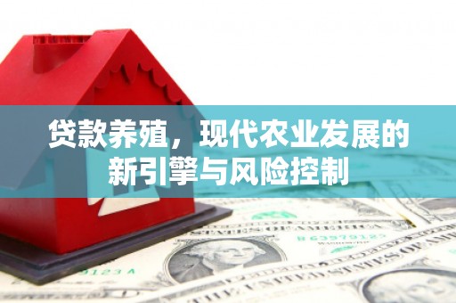东源贷款养殖，现代农业发展的新引擎与风险控制