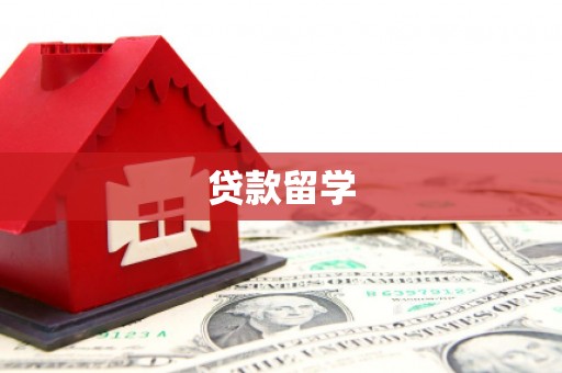 东源贷款留学
