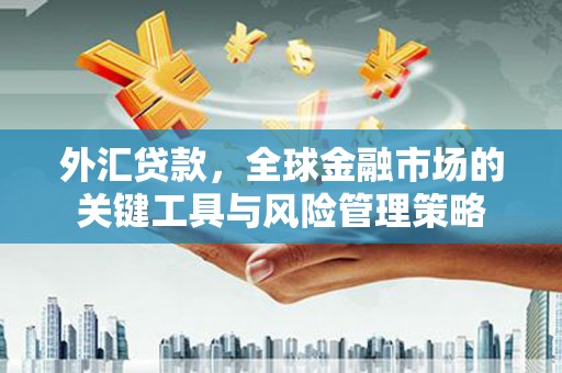 东源外汇贷款，全球金融市场的关键工具与风险管理策略