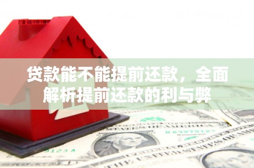 东源贷款能不能提前还款，全面解析提前还款的利与弊