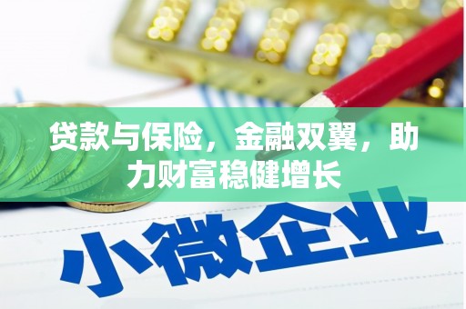 东源贷款与保险，金融双翼，助力财富稳健增长