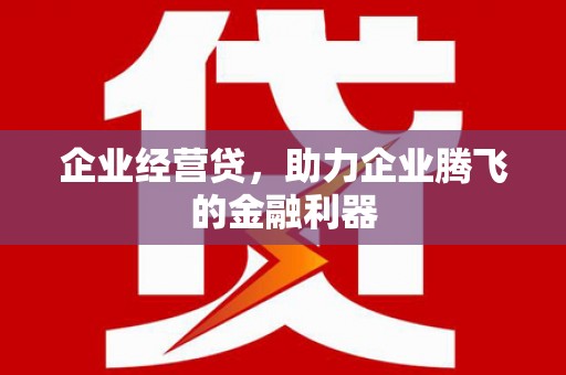 东源企业经营贷，助力企业腾飞的金融利器